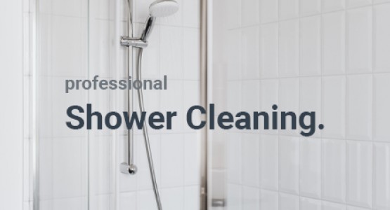Bathroom shower cleaning with professional standards